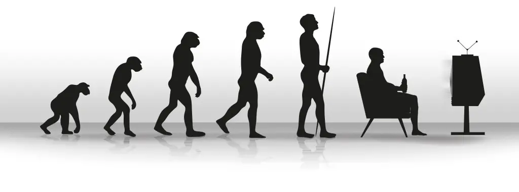 History of Sofa Cushions